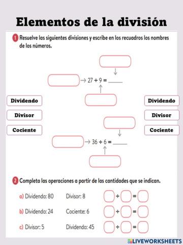 Elementos de la división