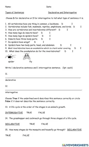 declarative and interrogative worksheet