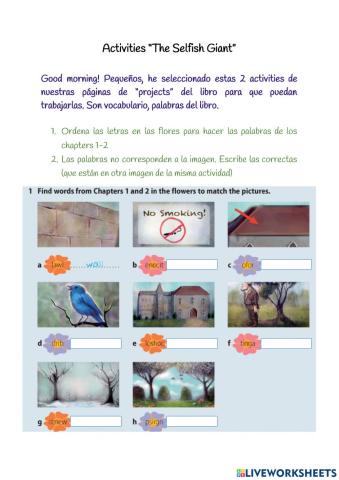 The selfish giant projects