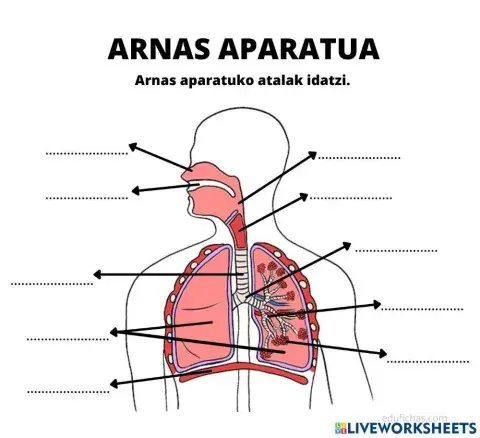 Arnas aparatua atalak