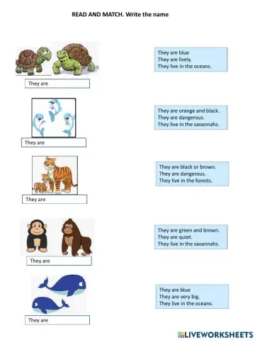 3º animals match and write names