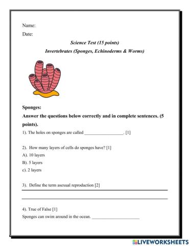 Invertebrates (sponges, echinoderms, worms)