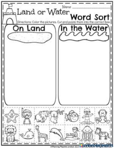 Land or water