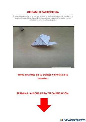 Origami