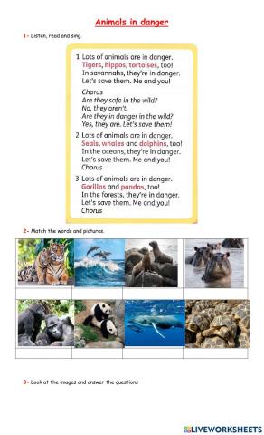 Animals in danger