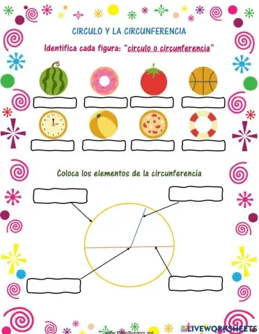 Circulo y Circunferencia