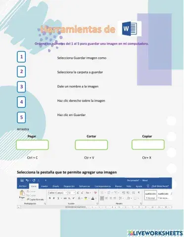 Evaluación: Herramientas de Word