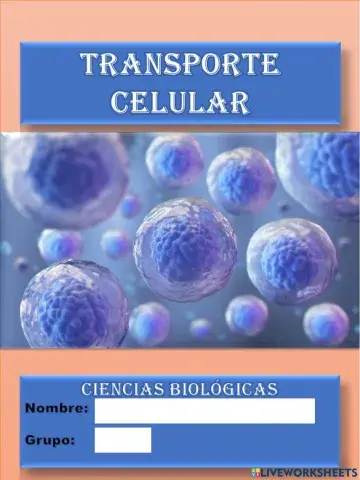 Transporte celular