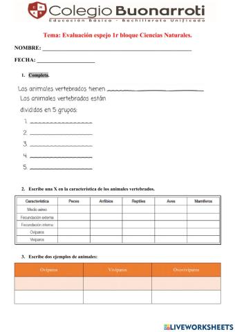 Evaluación espejo CC.NN.