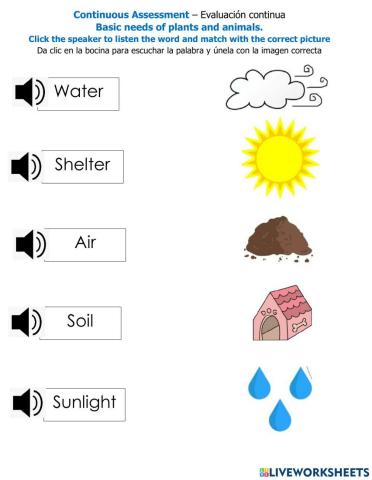 Basic needs of animals and plants