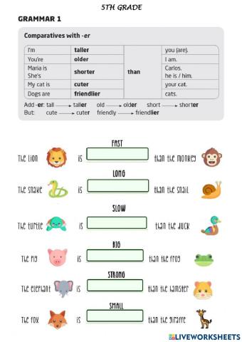 5th: Oct 22nd comparatives