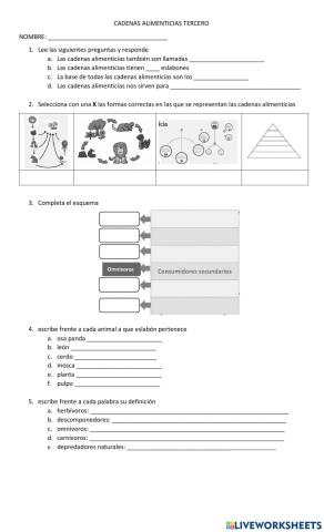 Cadenas alimenticias