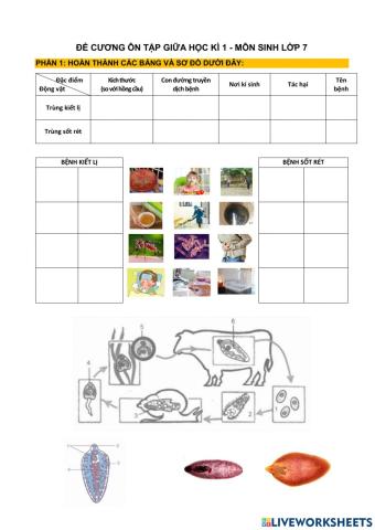 Đề cương Ôn tập giữa học kì 1