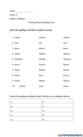 Forming Plurals Spelling Test