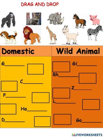 Domestic and wild animal