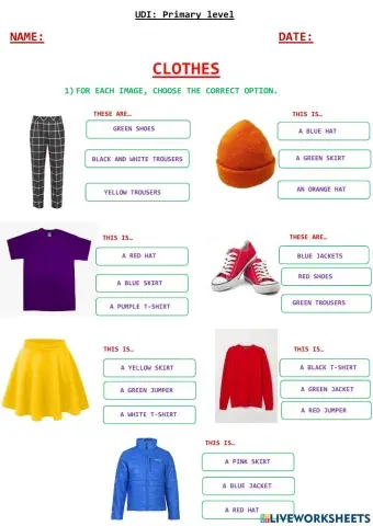 UDI - Primary Level - Clothes