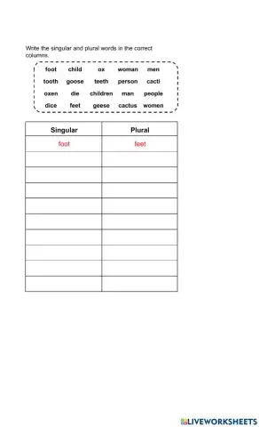 Irregular Plural Nouns