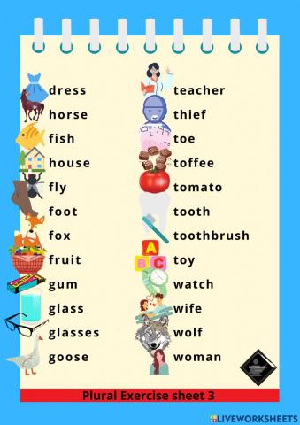 Plural Exercise sheet 3