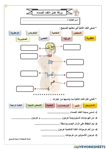 الغدد الصماء