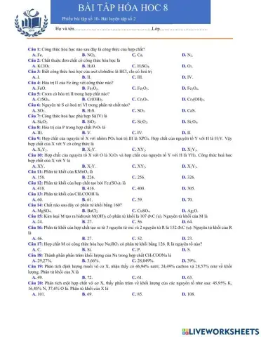 Phiếu 10- luyện tập 2