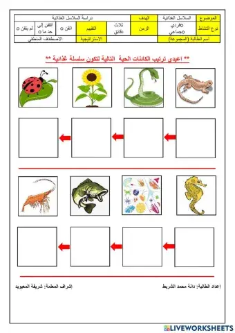 ورقة عمل السلاسل الغذائية