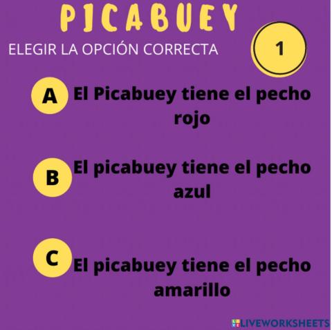 Picabuey