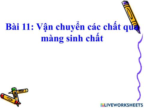 Vận chuyển các chất qua màng