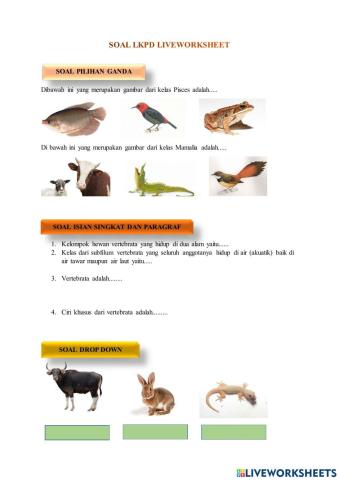 LKPD Soal Animalia (Vertebrata)