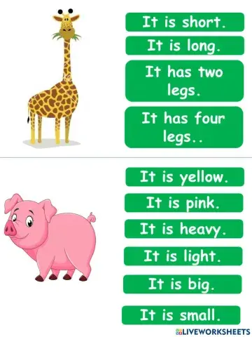 Describing animals