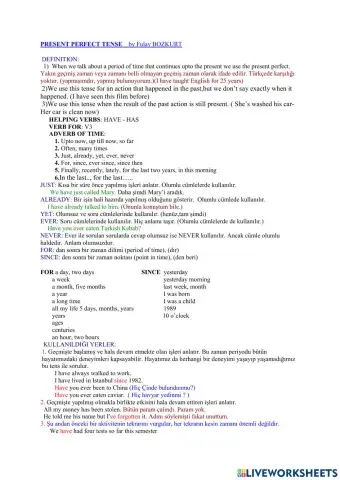 Present perfect tense 1