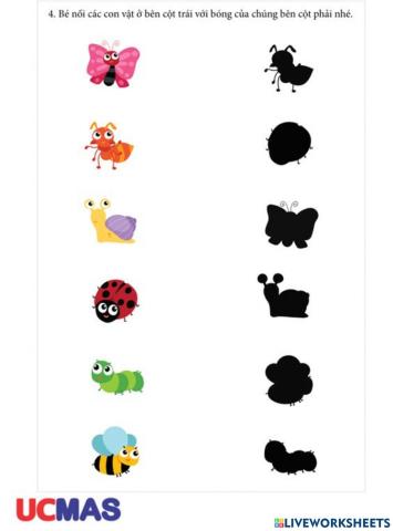 Nối con vật với bóng của chúng