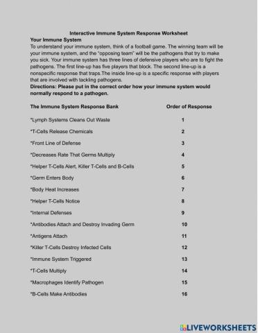 The Immune System Response Sheet