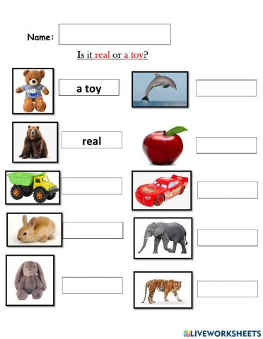 Kindergarten writing test