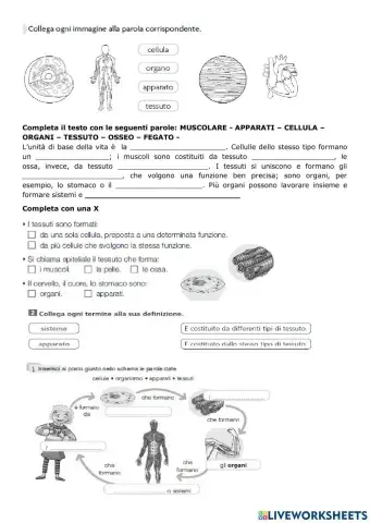 Dalla cellula all'organismo