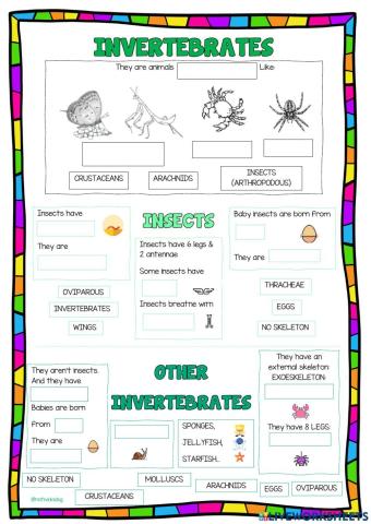 Invertebrate animals