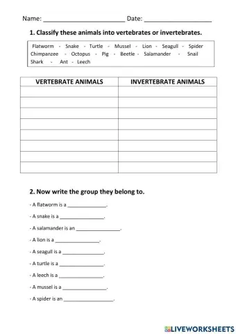 Vertebrates and invertebrates