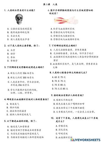 第二课 人类（复习）