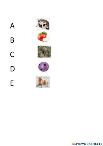 Match letters with figures