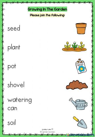 Growing in the Garden