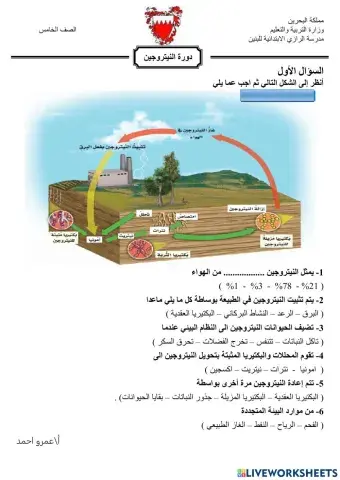 دورة النيتروجين