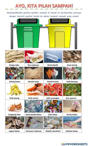 Sampah Organik dan Anorganik