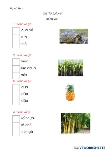 Trắc nghiệm vui tuần 5