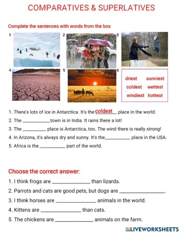 Movers 3 comparatives and superlatives