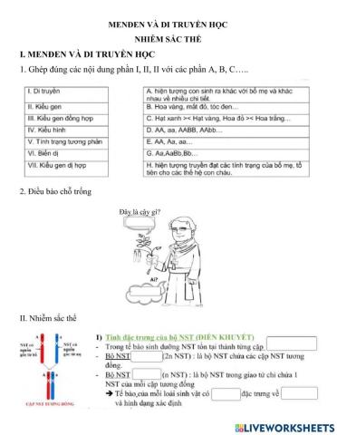 Ôn tập kiến thức bài 1 và bài 8
