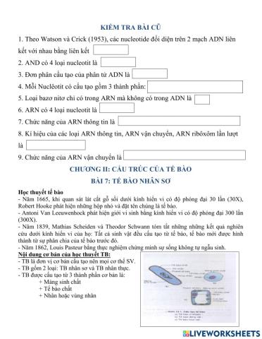 Sinh 10. Bài 7. Tế bào nhân sơ