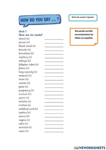 Vocabulary list unit 1