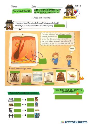 Unit 1:Why do babies have more bones than adults?