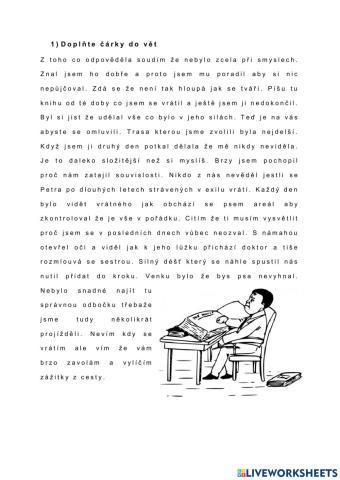 Čárky ve větách + pravopis