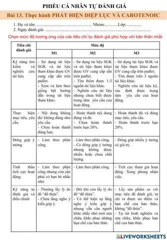 Phiếu tự đánh giá - Sinh 11 - Bài 13
