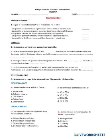 Taller de los Glúcidos